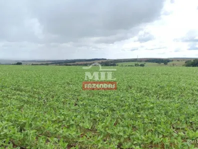 Fazenda/Sítio à venda, 20000m² no , Gameleira de Goiás