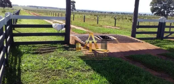 Fazenda/Sítio com 1 Quarto à venda, 100m² no Centro, Campo Grande