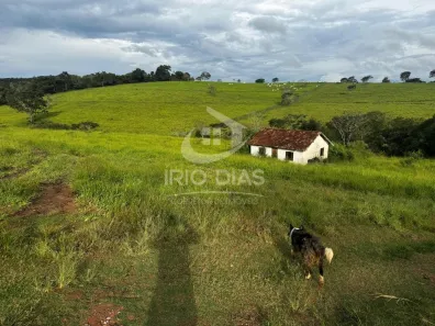 Fazenda/Sítio com 3 Quartos à venda, 1000m² no , Carmo da Mata
