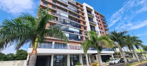Apartamento com 1 Quarto à venda, 78m² no Fragata, Marília