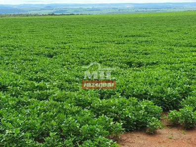 Fazenda/Sítio à venda, 500m² no , Paraúna
