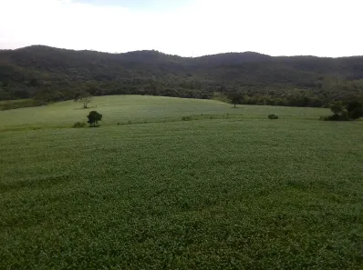 Fazenda/Sítio com 2 Quartos à venda, 225000m² no , São Brás do Suaçuí
