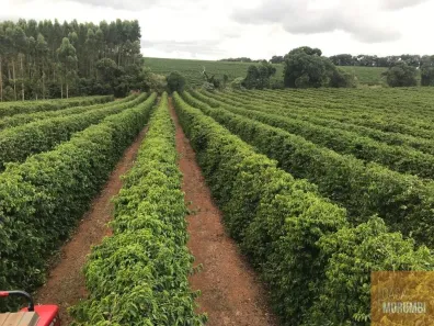 Fazenda/Sítio com 1 Quarto à venda, 13300000m² no , Chiador
