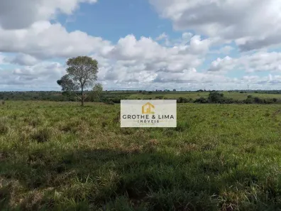 Fazenda/Sítio com 15 Quartos à venda, 200m² no Zona Rural, Wanderlândia