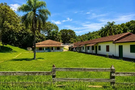 Fazenda/Sítio com 3 Quartos à venda, 290000m² no Centro, Amparo