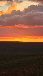 Fazenda/Sítio à venda, 512m² no Rio de Una, Ibiúna