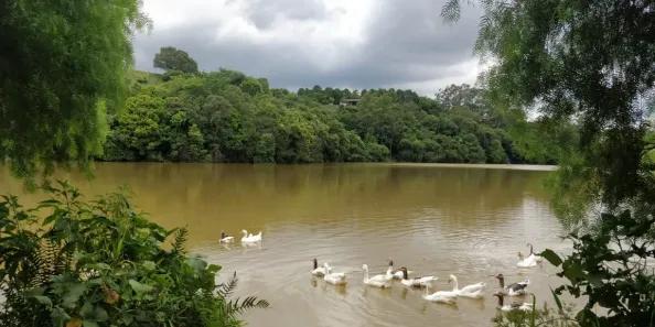 Lote/Terreno à venda, 1200m² no Vale Verde, Valinhos