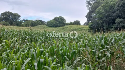 Fazenda/Sítio à venda, 20000m² no Área Rural de Araucária, Araucária