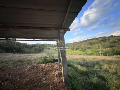 Fazenda/Sítio com 4 Quartos à venda, 105000m² no Jardim Tavares, Campina Grande