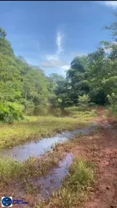 Fazenda/Sítio com 3 Quartos à venda, 24m² no Centro, Iporá