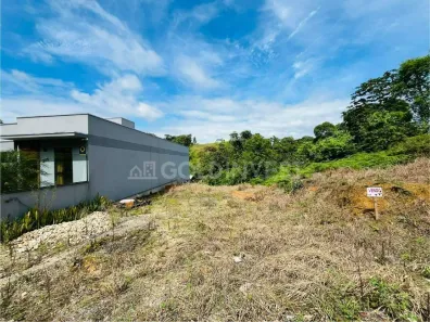 Lote/Terreno à venda, 390m² no Dom Joaquim, Brusque