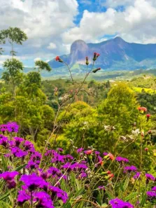 Fazenda/Sítio com 5 Quartos à venda, 1000000m² no Caxixe, Venda Nova do Imigrante