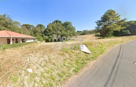 Lote/Terreno à venda, 5000m² no Vila Delurdes, Campo Largo