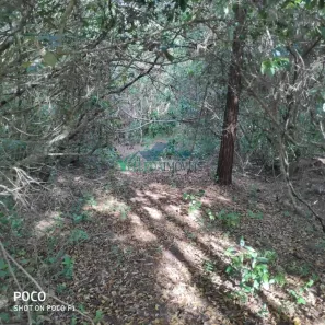 Fazenda/Sítio à venda, 46000m² no Fiuza, Viamão
