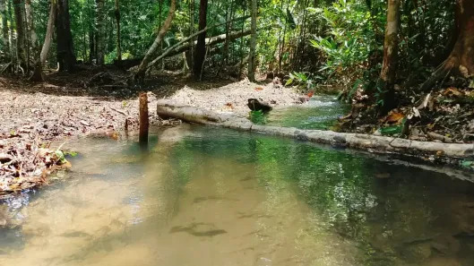 Lote/Terreno à venda, 1000m² no Jardim Santarém, Santarém