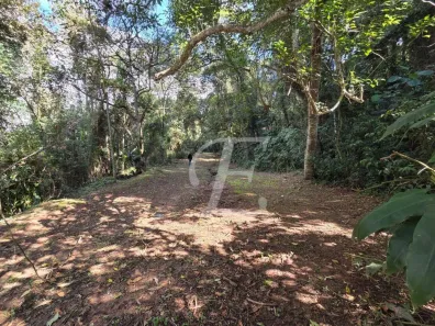 Lote/Terreno à venda, 1190m² no Caraguatá, Mairiporã