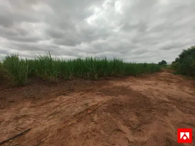 Lote/Terreno à venda, 87489m² no Caiubi, Santa Bárbara D'Oeste