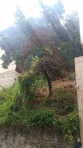 Lote/Terreno à venda, 450m² no Santa Teresa, Rio de Janeiro