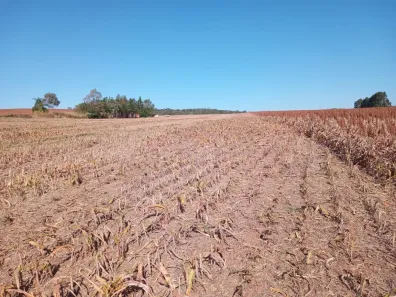 Fazenda/Sítio com 1 Quarto à venda, 266200m² no Jardim Novo Aeroporto, Itapetininga