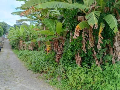 Lote/Terreno à venda, 28530m² no Ribeirão da Ilha, Florianópolis
