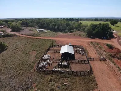 Fazenda/Sítio à venda, 400m² no Setor Central, Araguaína