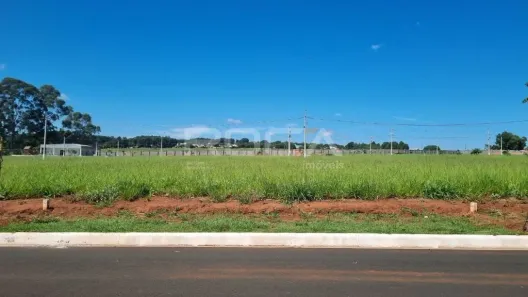 Lote/Terreno à venda, 250m² no Residencial Samambaia, São Carlos