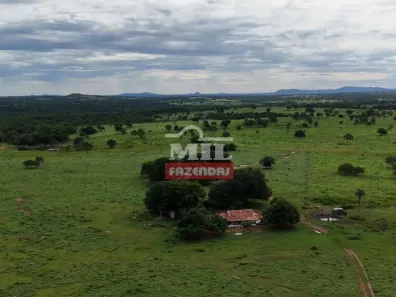 Fazenda/Sítio à venda, 500m² no , Araguapaz