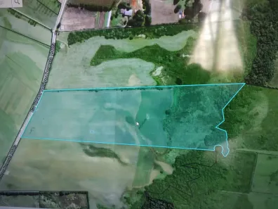 Lote/Terreno à venda, 60000m² no Área Rural de São José dos Pinhais, São José dos Pinhais