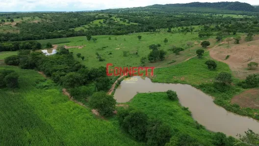 Fazenda/Sítio com 6 Quartos à venda, 10m² no , João Pinheiro