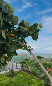 Apartamento com 3 Quartos à venda, 93m² no Intermares, Cabedelo