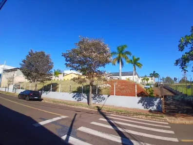 Galpão/Depósito/Armazém para alugar, 580m² no Jacomo Violin, Londrina