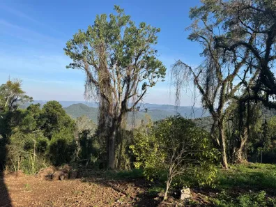Lote/Terreno à venda, 390m² no Nova Petrópolis, Nova Petrópolis