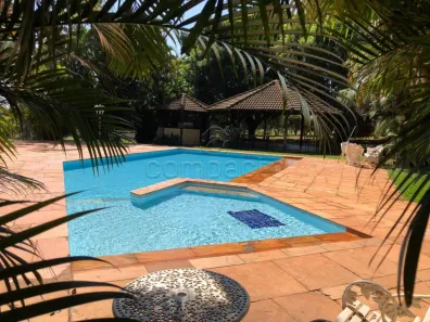 Fazenda/Sítio com 3 Quartos à venda, 10500m² no Chácara Bela Vista, São José do Rio Preto