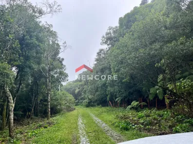 Lote/Terreno à venda, 9700m² no Centro, São Francisco de Paula