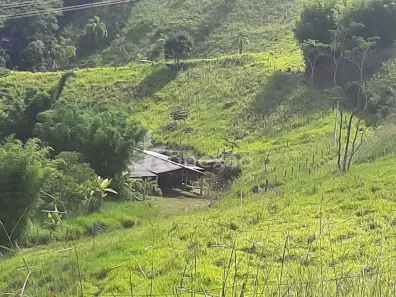 Fazenda/Sítio com 3 Quartos à venda, 300m² no Centro, Taubaté
