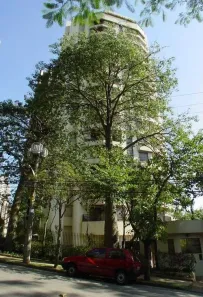Apartamento com 4 Quartos à venda, 332m² no Vila Suzana, São Paulo