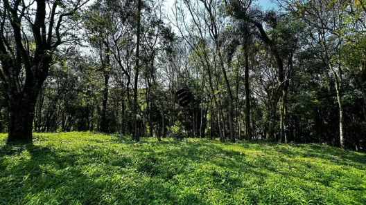 Lote/Terreno à venda, 950m² no Travessão, Dois Irmãos