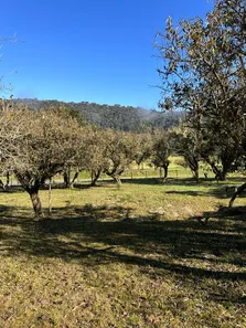 Lote/Terreno à venda, 20000m² no Águas Brancas, Urubici