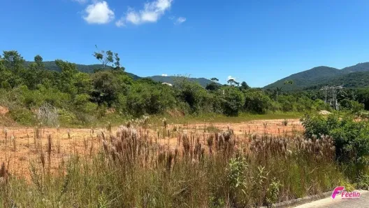 Lote/Terreno à venda, 1525m² no Forquilhas, São José