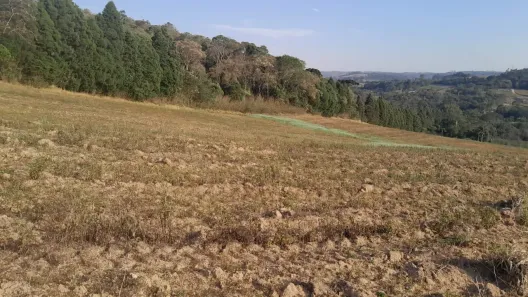 Lote/Terreno à venda, 500m² no Nhambuca ( Caucaia do Alto), Cotia