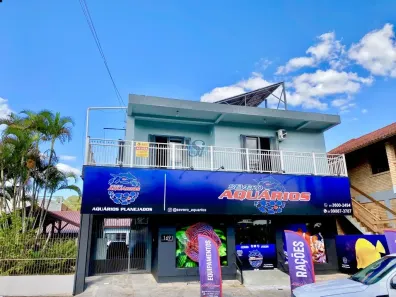 Apartamento com 4 Quartos para alugar, 200m² no O, Campo Bom