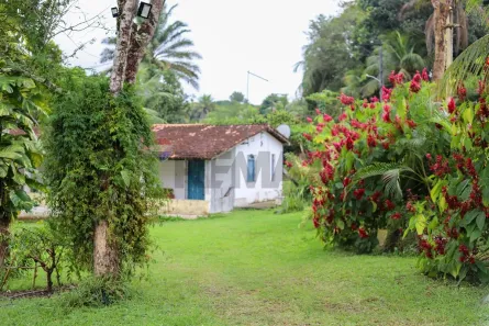 Fazenda/Sítio com 4 Quartos à venda, 320m² no , Mata de São João