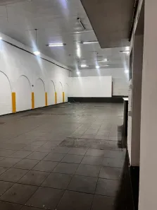 Galpão/Depósito/Armazém para alugar, 250m² no Parque Anhangüera, Ribeirão Preto