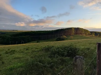 Fazenda/Sítio com 2 Quartos à venda, 70m² no , São Miguel Arcanjo