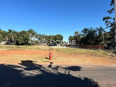 Lote/Terreno à venda, 6000m² no Chácaras Tubalina e Quartel, Uberlândia