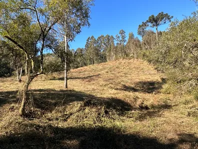 Fazenda/Sítio à venda, 20000m² no , Urubici