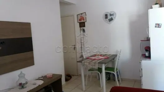 Apartamento com 2 Quartos à venda, 50m² no Loteamento Clube V, São José do Rio Preto