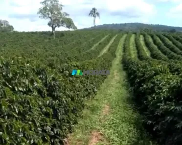 Fazenda/Sítio com 1 Quarto à venda, 100m² no , Carmo da Mata