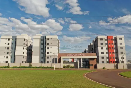 Apartamento com 2 Quartos à venda, 47m² no Jardim Maria Celina, Londrina