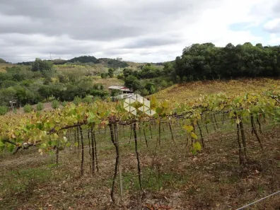 Fazenda/Sítio à venda, 61661m² no , Garibaldi